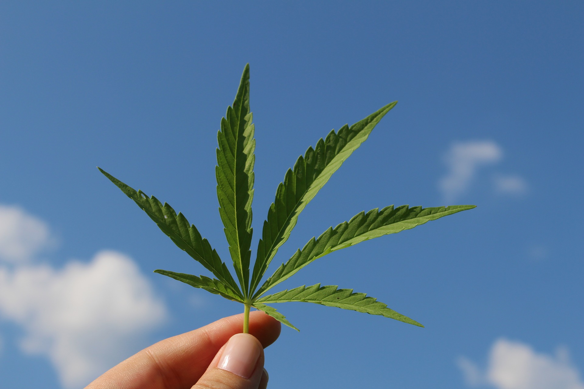 usda testing requirements for hemp